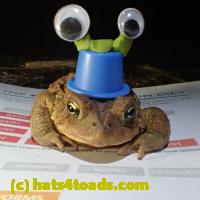 /home//u458753944/public_html/sourcegallery//Roxborough Toad Detour/2013-2019/2018/2018-04-13/P4130015.JPG